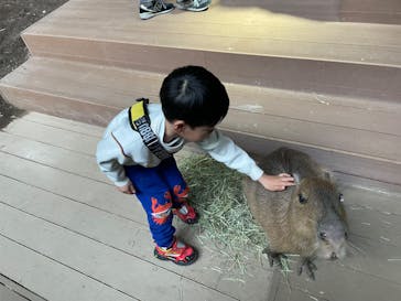 カワスイ 川崎⽔族館に投稿された画像（2023/12/28）