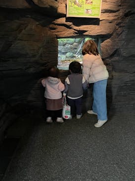 世界淡水魚園水族館　アクア・トトぎふに投稿された画像（2023/12/28）