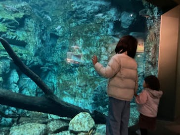 世界淡水魚園水族館　アクア・トトぎふに投稿された画像（2023/12/28）