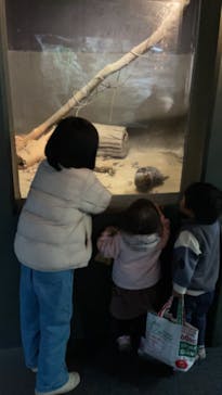 世界淡水魚園水族館　アクア・トトぎふに投稿された画像（2023/12/28）