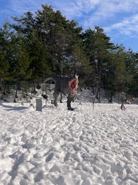 福井県立恐竜博物館に投稿された画像（2023/12/28）