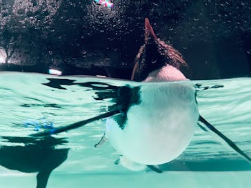 AOAO SAPPOROに投稿された画像（2023/12/28）