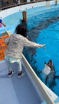 マリンワールド海の中道に投稿された画像（2023/12/28）