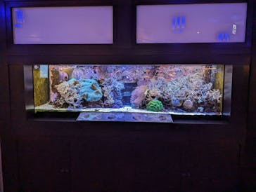 横浜開運水族館 フォーチュンアクアリウムに投稿された画像（2023/12/28）