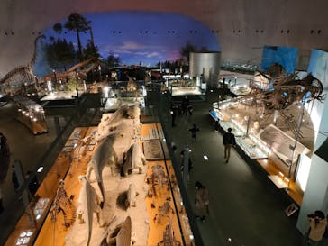 福井県立恐竜博物館に投稿された画像（2023/12/28）