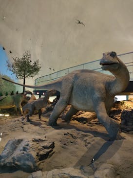 福井県立恐竜博物館に投稿された画像（2023/12/28）