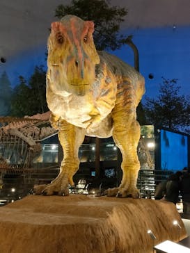 福井県立恐竜博物館に投稿された画像（2023/12/28）