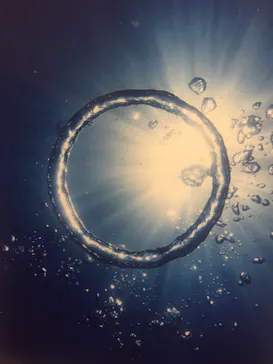 武藤潜水に投稿された画像（2023/12/29）