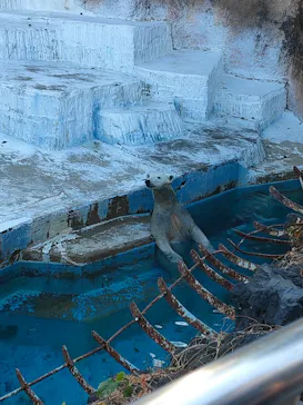 天王寺動物園に投稿された画像（2023/12/29）