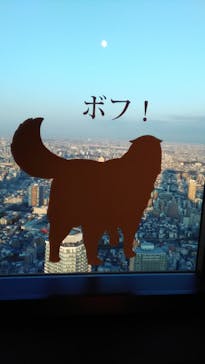 サンシャイン60展望台に投稿された画像（2023/12/29）