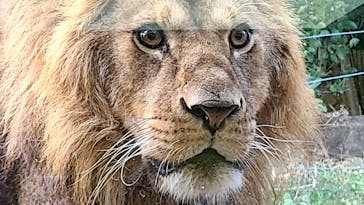 東武動物公園に投稿された画像（2023/12/29）