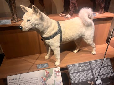 国立科学博物館に投稿された画像（2023/12/29）