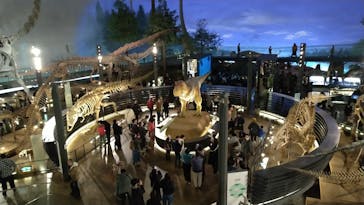 福井県立恐竜博物館に投稿された画像（2023/12/29）