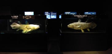 環境水族館アクアマリンふくしまに投稿された画像（2023/12/29）