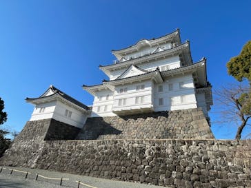 小田原城に投稿された画像（2023/12/29）