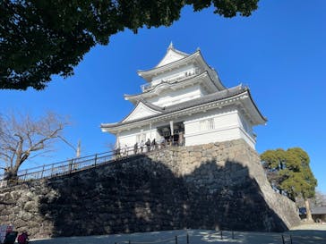 小田原城に投稿された画像（2023/12/29）