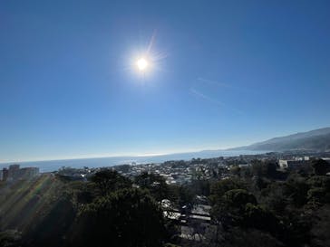 小田原城に投稿された画像（2023/12/29）