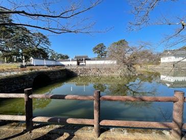 小田原城に投稿された画像（2023/12/29）
