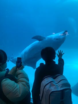 名古屋港水族館に投稿された画像（2023/12/29）