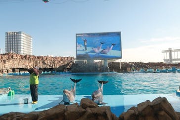 名古屋港水族館に投稿された画像（2023/12/29）