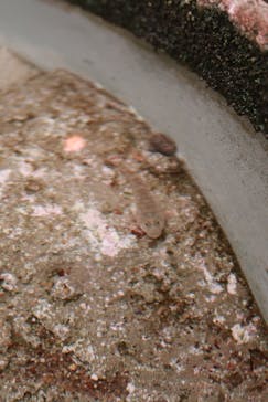 名古屋港水族館に投稿された画像（2023/12/29）