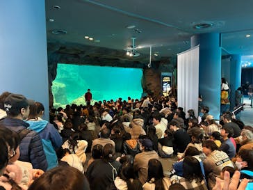 名古屋港水族館に投稿された画像（2023/12/29）