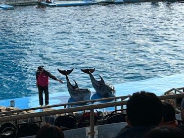 名古屋港水族館に投稿された画像（2023/12/29）