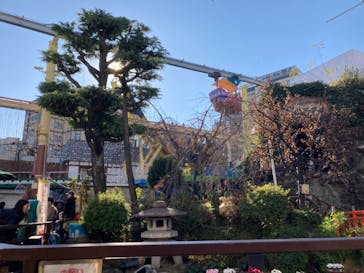 浅草花やしきに投稿された画像（2023/12/29）