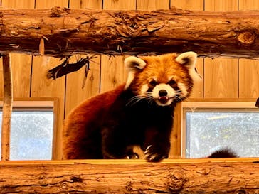 伊豆シャボテン動物公園に投稿された画像（2023/12/29）