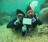 武藤潜水に投稿された画像（2023/12/29）