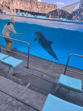 名古屋港水族館に投稿された画像（2023/12/29）