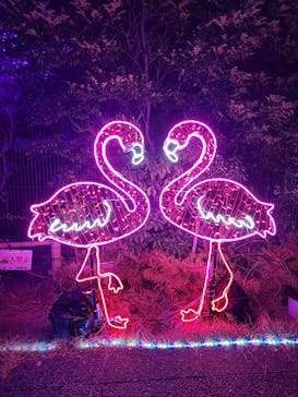 アクロス福岡イルミネーションに投稿された画像（2023/12/29）