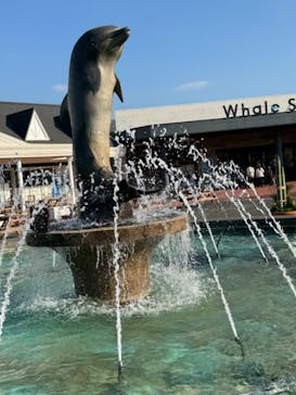 南知多ビーチランド＆南知多おもちゃ王国に投稿された画像（2023/12/29）