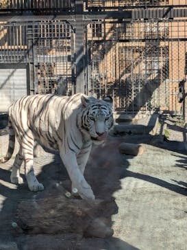 東武動物公園に投稿された画像（2023/12/29）