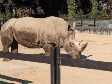 東武動物公園に投稿された画像（2023/12/29）