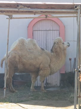 東武動物公園に投稿された画像（2023/12/29）