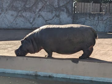 東武動物公園に投稿された画像（2023/12/29）