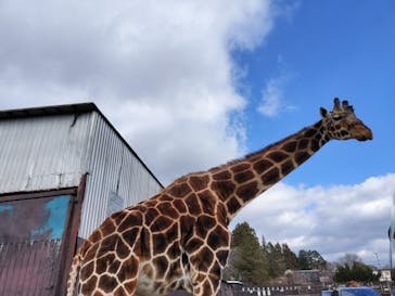 那須サファリパークに投稿された画像（2023/12/29）