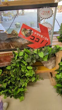 しろとり動物園に投稿された画像（2023/12/29）