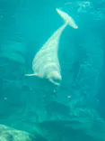 名古屋港水族館に投稿された画像（2023/12/29）