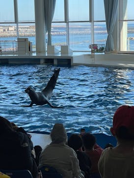 アクアワールド茨城県大洗水族館に投稿された画像（2023/12/29）