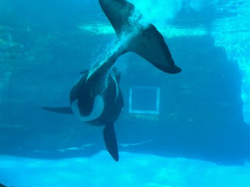 名古屋港水族館に投稿された画像（2023/12/29）