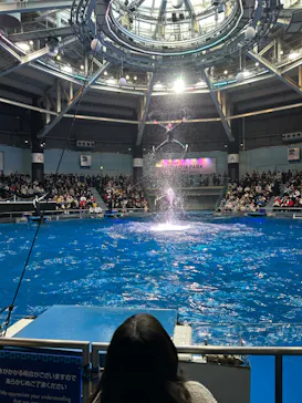 マクセル アクアパーク品川に投稿された画像（2023/12/29）