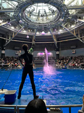 マクセル アクアパーク品川に投稿された画像（2023/12/29）