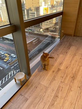 カワスイ 川崎⽔族館に投稿された画像（2023/12/29）