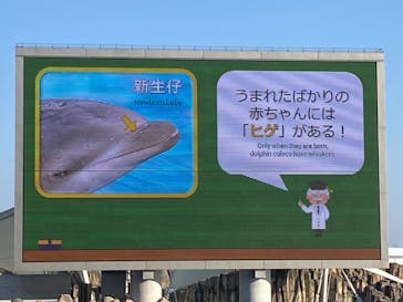 名古屋港水族館に投稿された画像（2023/12/29）