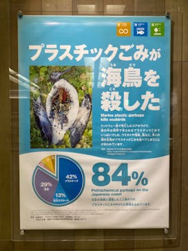 名古屋港水族館に投稿された画像（2023/12/29）