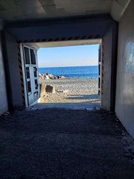 小田原城に投稿された画像（2023/12/29）