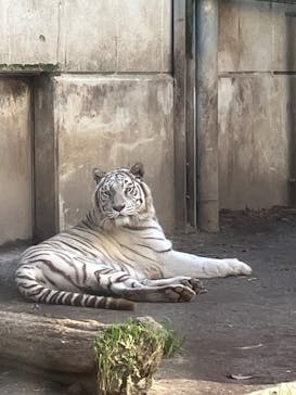 伊豆アニマルキングダムに投稿された画像（2023/12/29）