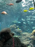 串本海中公園水族館に投稿された画像（2023/12/29）